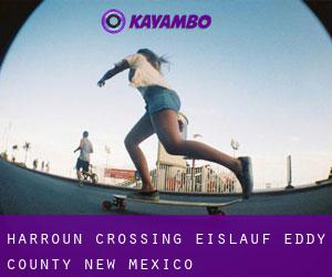 Harroun Crossing eislauf (Eddy County, New Mexico)