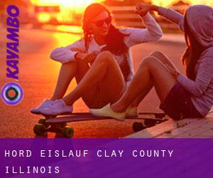 Hord eislauf (Clay County, Illinois)