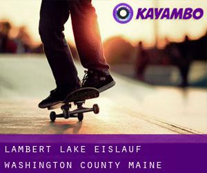 Lambert Lake eislauf (Washington County, Maine)