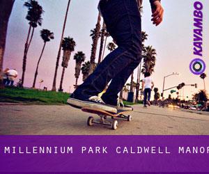 Millennium Park (Caldwell Manor)