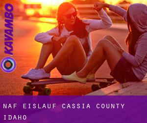 Naf eislauf (Cassia County, Idaho)