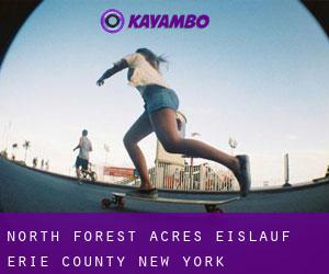 North Forest Acres eislauf (Erie County, New York)