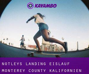 Notleys Landing eislauf (Monterey County, Kalifornien)