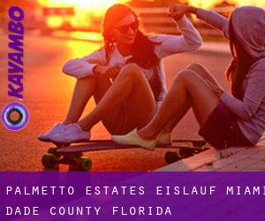 Palmetto Estates eislauf (Miami-Dade County, Florida)