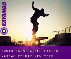 South Farmingdale eislauf (Nassau County, New York)