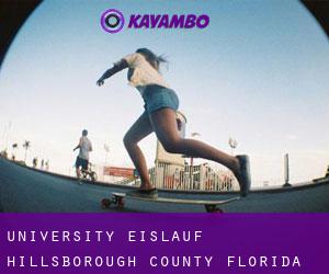 University eislauf (Hillsborough County, Florida)